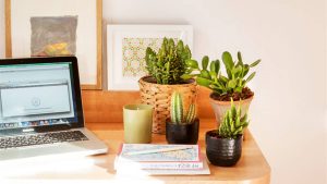 plantas oficina el mueble